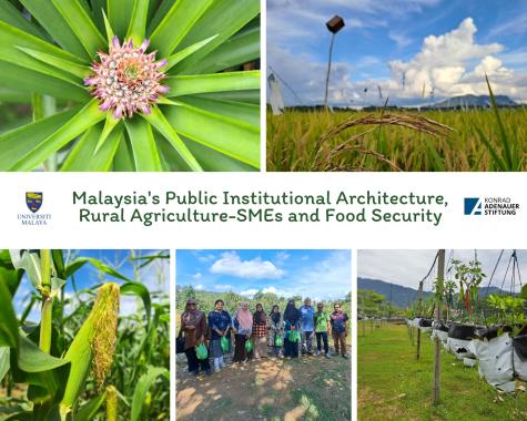 Malaysia's public insitutional architecture, rural agro SMEs and food security