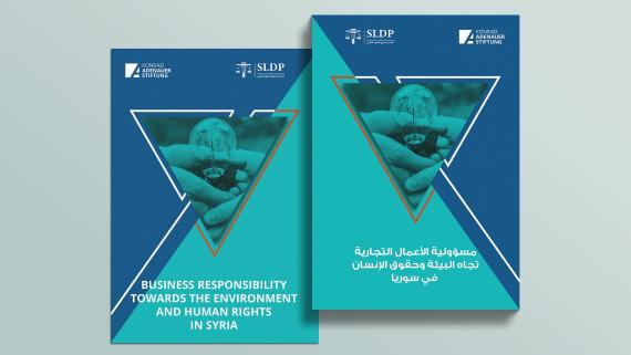 Business Responsibility Towards the Environment and Human Rights in Syria