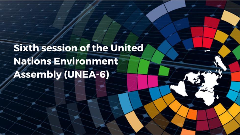 UNEA-6 Sparks Environmental Transformation, highlighting a Collective Global Action-image