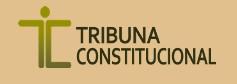Fundación Tribuna Constitucional (Bolivia) v_2