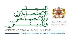 Conseil Economique, Social et Environnemental (CESE)